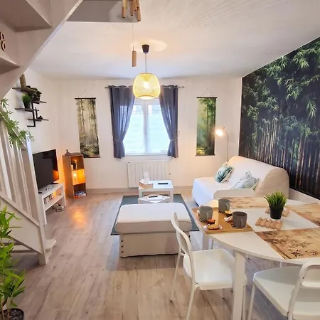 Le Bambou - Duplex Zen Au Coeur Du Vieux * Rouen