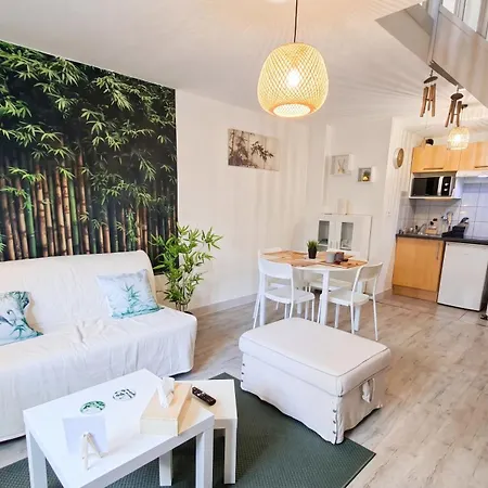 Le Bambou - Duplex Zen Au Coeur Du Vieux Appartamento